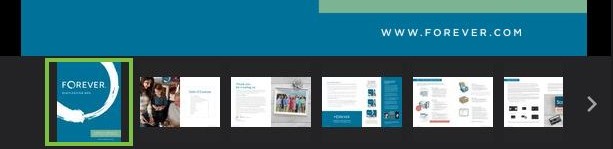 F3 - Lightbox document example.JPG