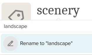 F3 - Tag rename.jpg