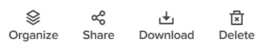 Selected files - Gallery options.PNG