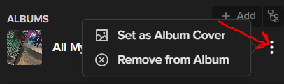 Album add from Info panel.PNG