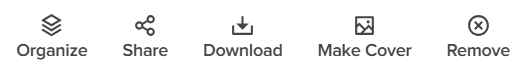 Album single photo selection.PNG